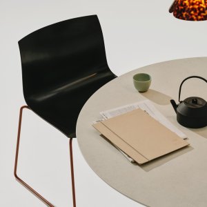 Catifa Carta 셸 표면에 드러난 종이 결
