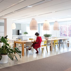 Arper의 디자인 의자: Juno 02 컬렉션