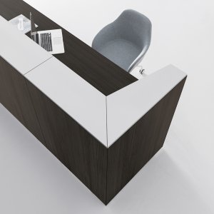 DVO Office Qubo 데스크의 엄버 색 웰컴 톱