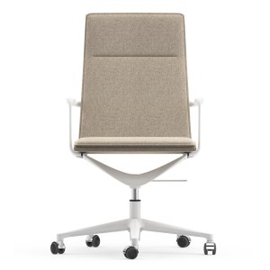 브론즈 도장 프레임의 Valea Chair